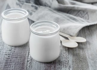 Lactobacillus Bulgaricus Lactobacillus Bulgaricus