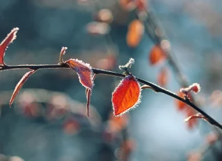 Времето днес, прогноза за петък, 14 февруари Времето днес