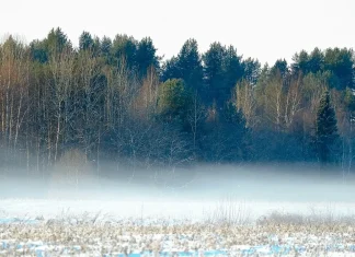 Времето днес, прогноза за четвъртък, 13 февруари Времето днес